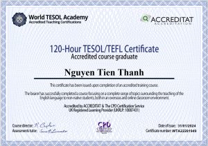 review world tesol academy